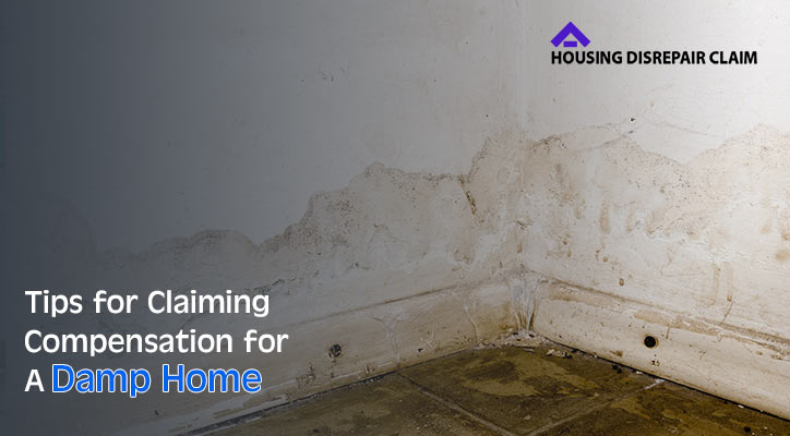 Claiming Compensation for A Damp