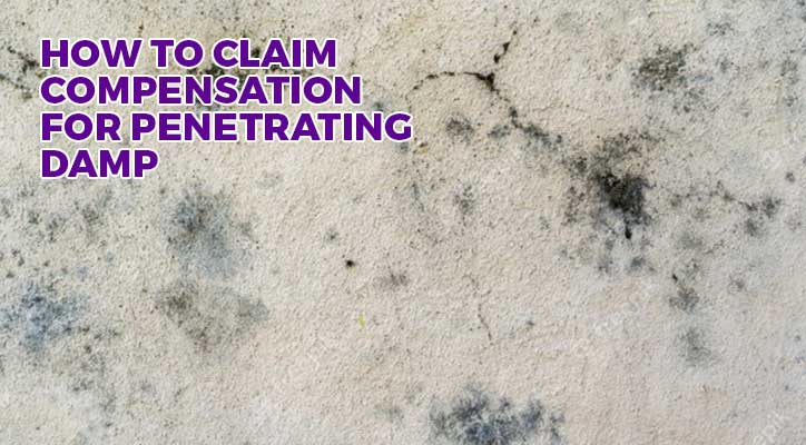 Claim Compensation For Penetrating Damp