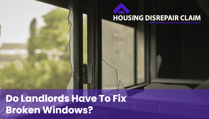 Broken Windows Fix by Landlord